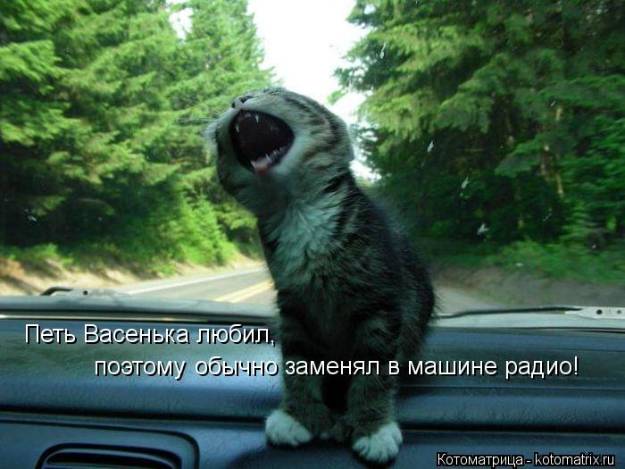 Котоматрица: Петь Васенька любил,  поэтому  обычно заменял в машине радио!