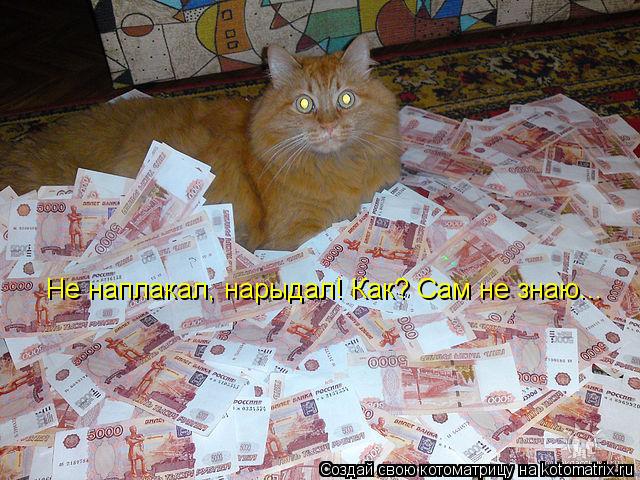 Не наплакал, нарыдал! Как? Сам не знаю...... Котоматрица: Не наплакал, нарыдал! Как? Сам не знаю...