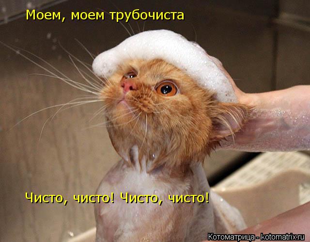 Котоматрица: Моем, моем трубочиста Чисто, чисто! Чисто, чисто!