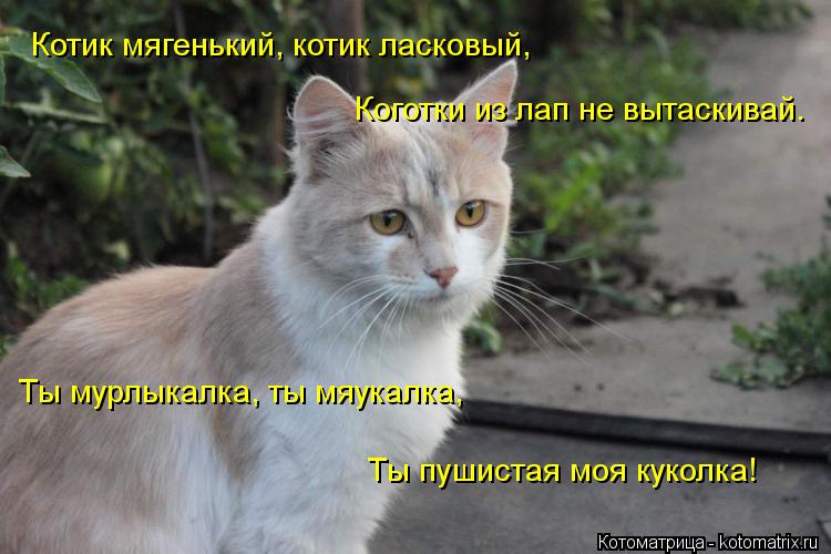 Котоматрица: Котик мягенький, котик ласковый,    Коготки из лап не вытаскивай.    Ты мурлыкалка, ты мяукалка,    Ты пушистая моя куколка!