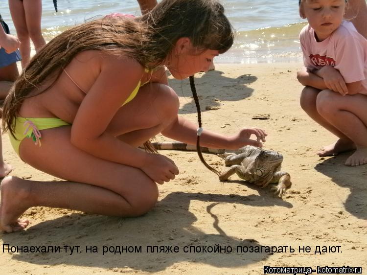 Понаехали тут. на родном пляже спокойно позагарать не дают.... Котоматрица: Понаехали тут. на родном пляже спокойно позагарать не дают.