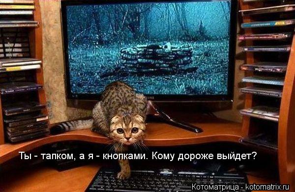 Котоматрица: Ты - тапком, а я - кнопками. Кому дороже выйдет?