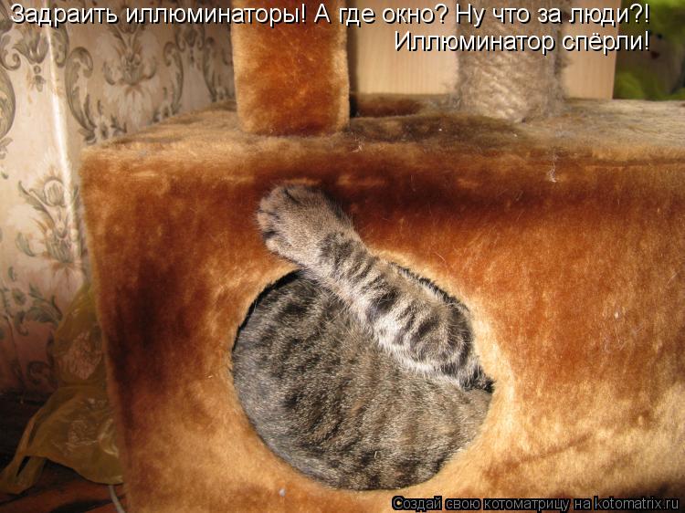 Котоматрица: Задраить иллюминаторы! А где окно? Ну что за люди?! Иллюминатор спёрли!