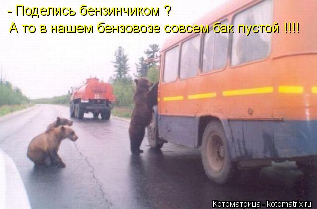 Котоматрица: - Поделись бензинчиком ? А то в нашем бензовозе совсем бак пустой !!!!