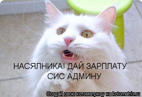 НАСЯЛНИКА! ДАЙ ЗАРПЛАТУ СИС АДМИНУ... Котоматрица: НАСЯЛНИКА! ДАЙ ЗАРПЛАТУ СИС АДМИНУ