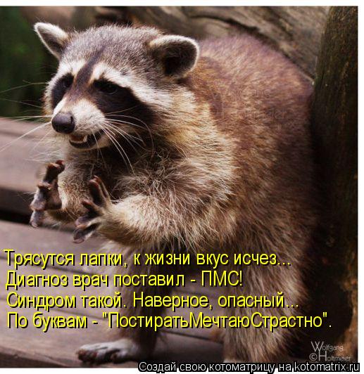 Котоматрица: Трясутся лапки, к жизни вкус исчез... Диагноз врач поставил - ПМС! Синдром такой. Наверное, опасный... По буквам - "ПостиратьМечтаюСтрастно".