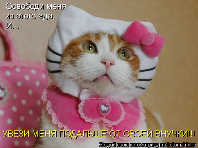Котоматрица: Освободи меня из этого ада, И... УВЕЗИ МЕНЯ ПОДАЛЬШЕ ОТ СВОЕЙ ВНУЧКИ!!!
