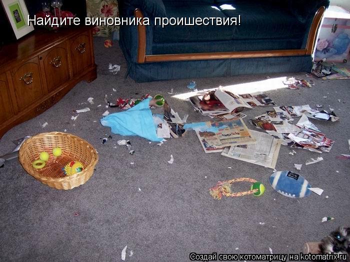 Котоматрица: Найдите виновника проишествия!