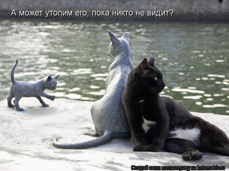 Котоматрица: А может утопим его, пока никто не видит?