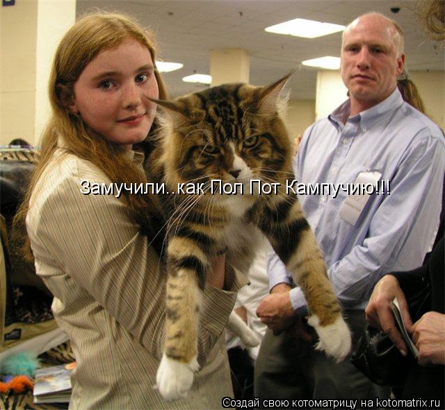 Замучили..как Пол Пот Кампучию!!!... Котоматрица: Замучили..как Пол Пот Кампучию!!!