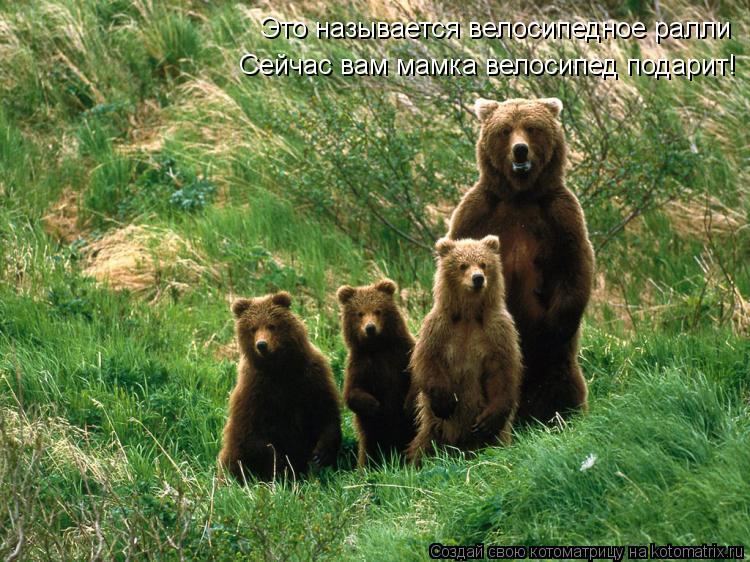 Котоматрица: Сейчас вам мамка велосипед подарит!  Это называется велосипедное ралли