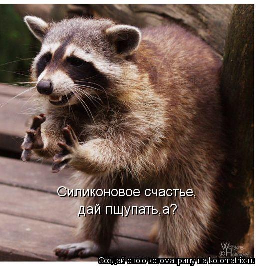 Котоматрица: Силиконовое счастье, дай пщупать,а?