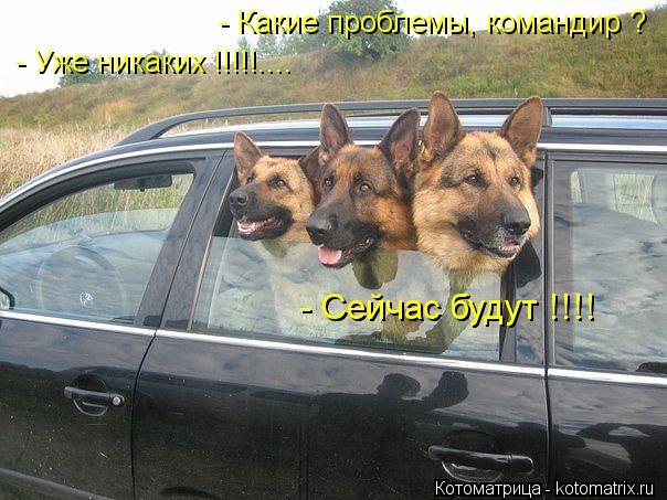 Котоматрица: - Какие проблемы, командир ? - Уже никаких !!!!!.... - Сейчас будут !!!!