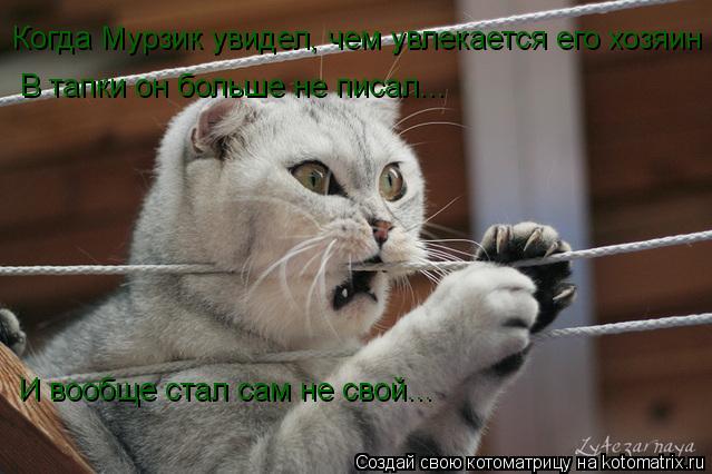Котоматрица: Когда Мурзик увидел, чем увлекается его хозяин В тапки он больше не писал...  И вообще стал сам не свой...