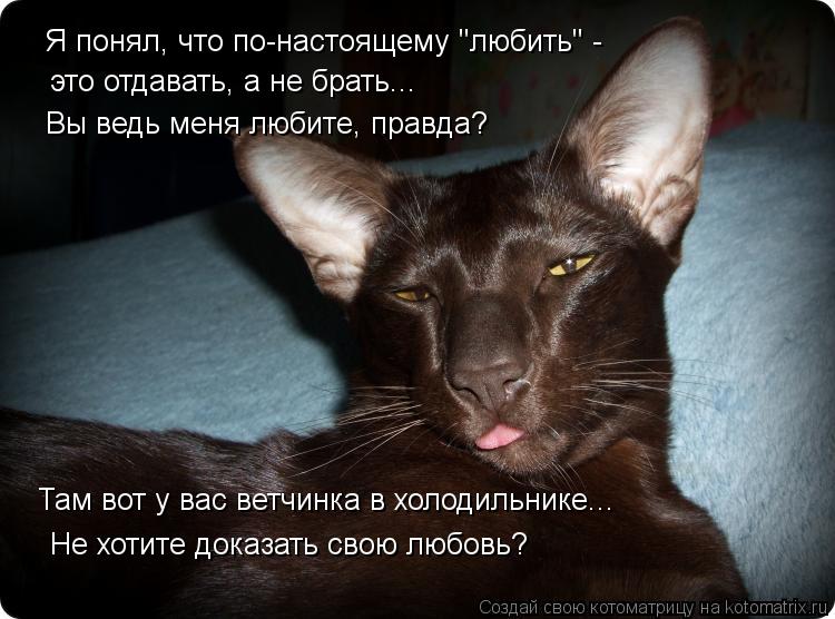 Котоматрица: Я понял, что по-настоящему "любить" -  это отдавать, а не брать... Вы ведь меня любите, правда? Не хотите доказать свою любовь? Там вот у вас ветч