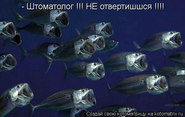 - Штоматолог !!! НЕ отвертишшся !!!!... Котоматрица: - Штоматолог !!! НЕ отвертишшся !!!!