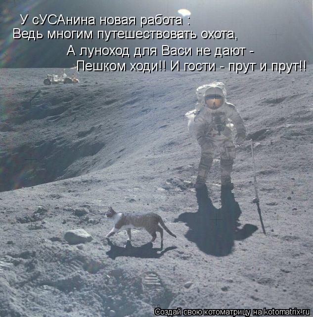 Котоматрица: У сУСАнина новая работа : Ведь многим путешествовать охота, А луноход для Васи не дают -  Пешком ходи!! И гости - прут и прут!!