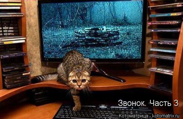 Котоматрица: Звонок. Часть 3