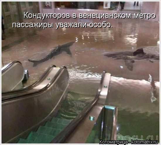 Котоматрица: Кондукторов в венецианском метро  пассажиры уважали особо.