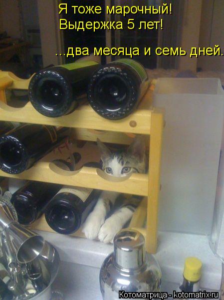Котоматрица: Я тоже марочный! Выдержка 5 лет! ...два месяца и семь дней.