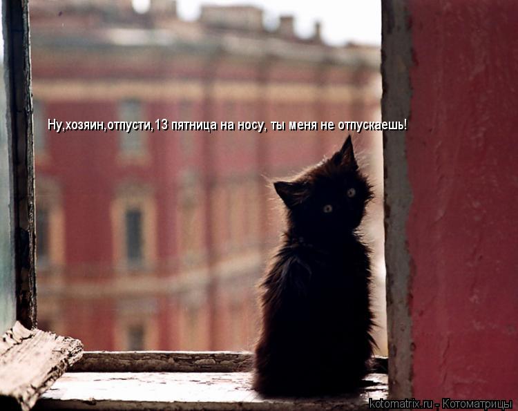 Котоматрица: Ну,хозяин,отпусти,13 пятница на носу, ты меня не отпускаешь!