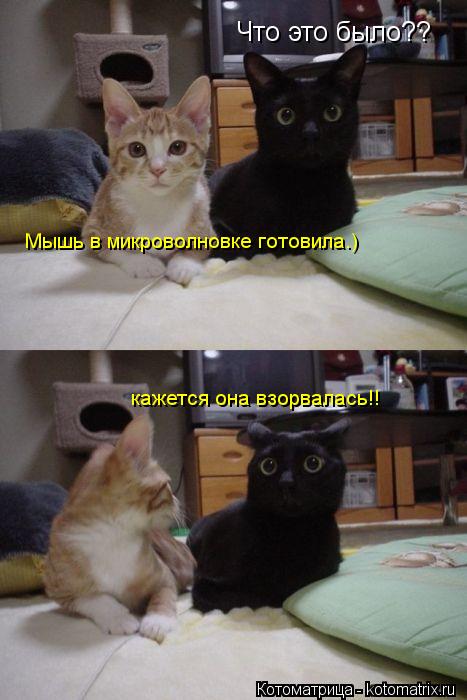 Котоматрица: Что это было?? Мышь в микроволновке готовила.) кажется она взорвалась!!