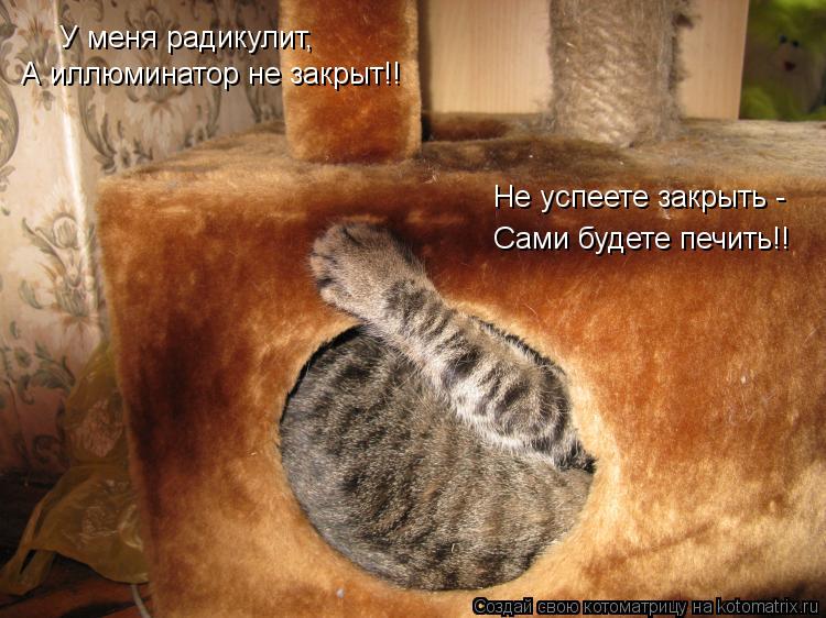 Котоматрица: У меня радикулит, А иллюминатор не закрыт!! Не успеете закрыть - Сами будете печить!!