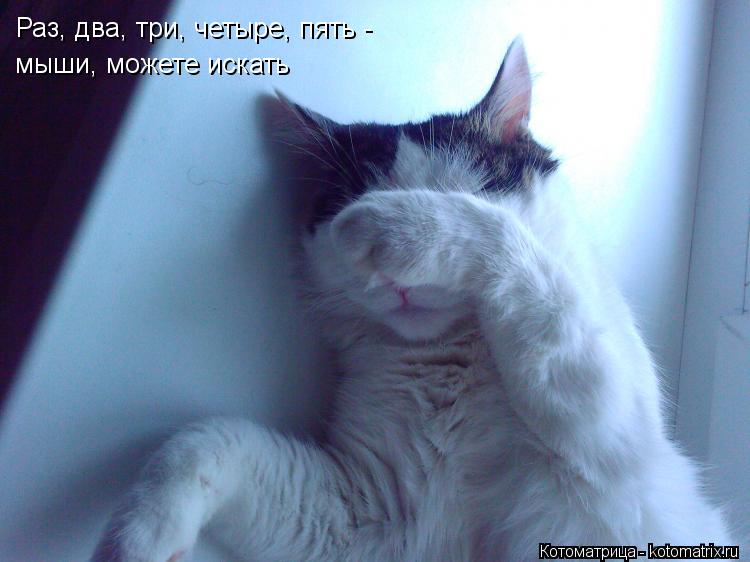 Раз, два, три, четыре, пять - мыши, можете искать... Котоматрица: Раз, два, три, четыре, пять - мыши, можете искать