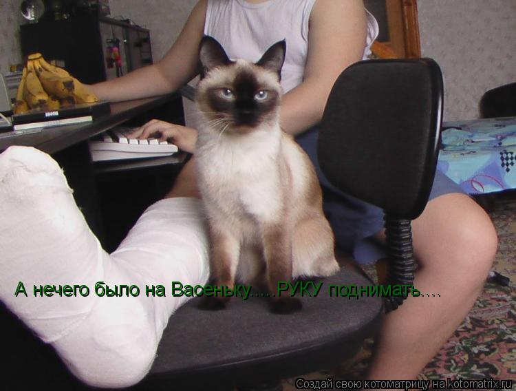 Котоматрица: А нечего было на Васеньку.....РУКУ поднимать....