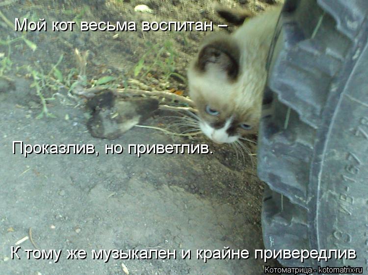 Котоматрица: Мой кот весьма воспитан –     Проказлив, но приветлив.     К тому же музыкален и крайне привередлив