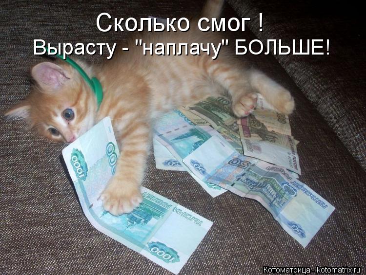 Котоматрица: Сколько смог ! Вырасту - "наплачу" БОЛЬШЕ!