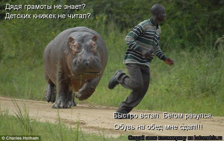 Котоматрица: Дядя грамоты не знает? Детских книжек не читал? Быстро встал. Бегом разулся. Обувь на обед мне сдал!!!