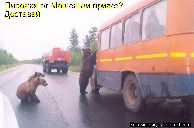 Пирожки от Машеньки привез? Доставай... Котоматрица: Пирожки от Машеньки привез? Доставай