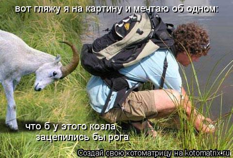 Котоматрица: вот гляжу я на картину и мечтаю об одном: зацепились бы рога что б у этого козла