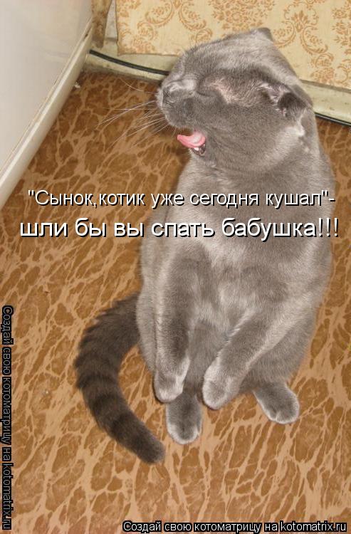 Котоматрица: "Сынок,котик уже сегодня кушал"- шли бы вы спать бабушка!!!