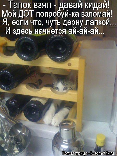 Котоматрица: - Тапок взял - давай кидай! Мой ДОТ попробуй-ка взломай! Я, если что, чуть дерну лапкой...  И здесь начнется ай-ай-ай...