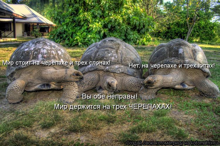 Котоматрица: Нет, на черепахе и трех китах! Мир держится на трех ЧЕРЕПАХАХ! Вы обе неправы!  Мир стоит на черепахе и трех слонах!