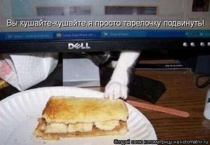 Котоматрица: Вы кушайте-кушайте,я просто тарелочку подвинуть!