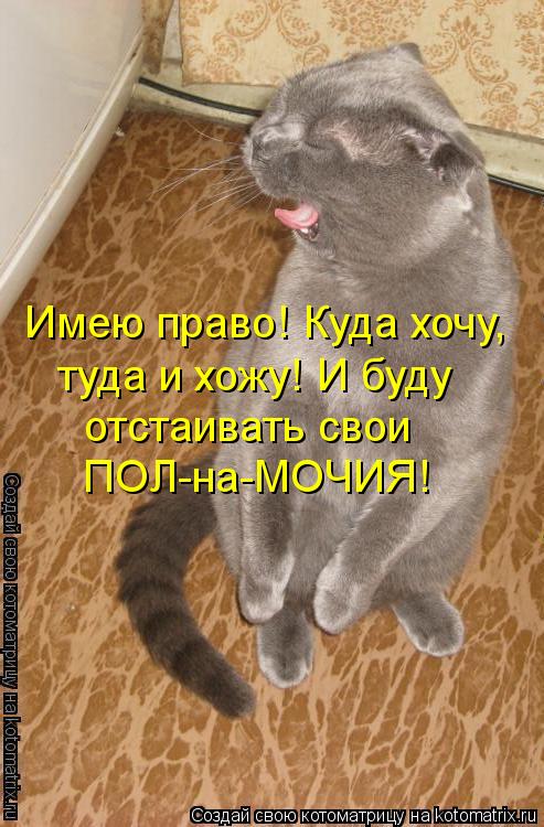 Котоматрица: Имею право! Куда хочу,  туда и хожу! И буду отстаивать свои ПОЛ-на-МОЧИЯ!