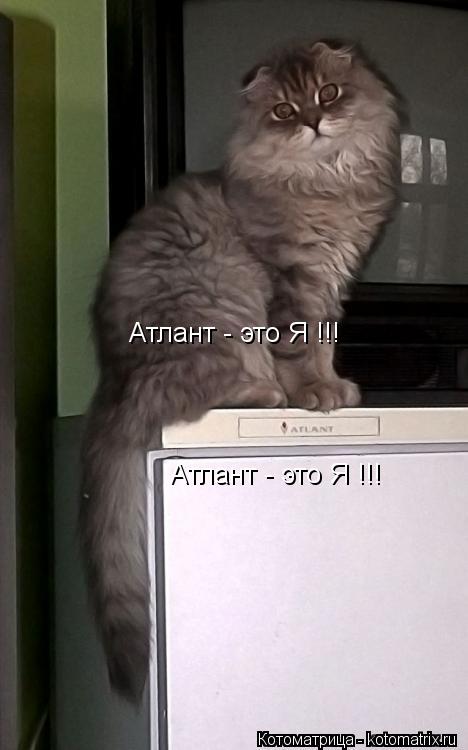 Котоматрица: Атлант - это Я !!! Атлант - это Я !!!