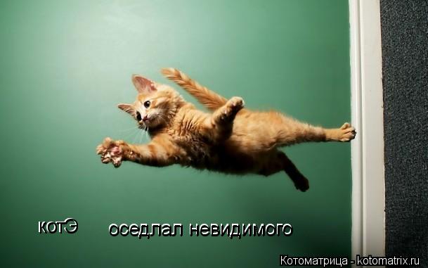 Котоматрица: котЭ котЭ оседлал невидимого оседлал невидимого
