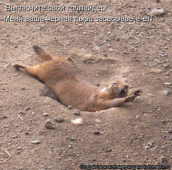 Котоматрица: Выключите свой коллайдер! Меня ваша черная дыра засасывае-е-ет!