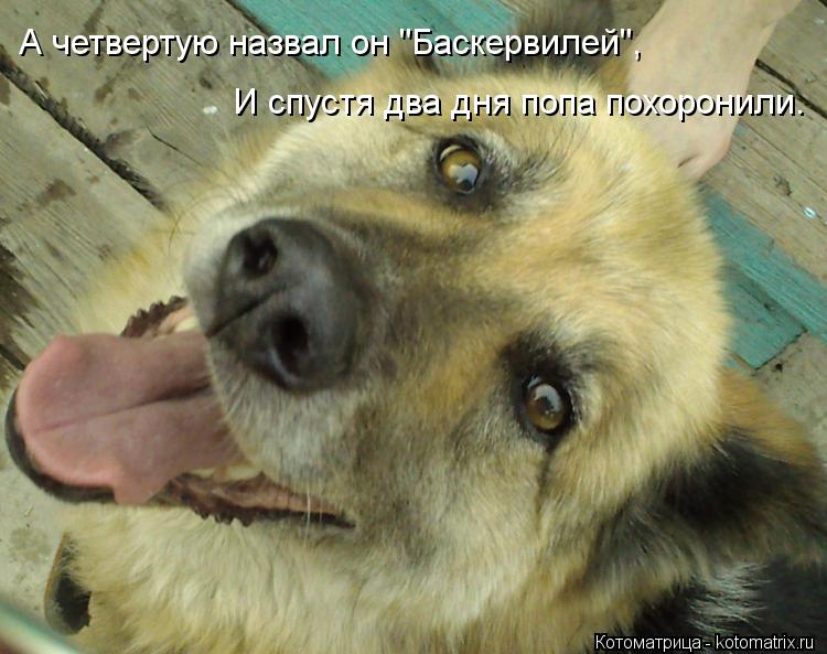 Котоматрица: А четвертую назвал он "Баскервилей",    И спустя два дня попа похоронили.