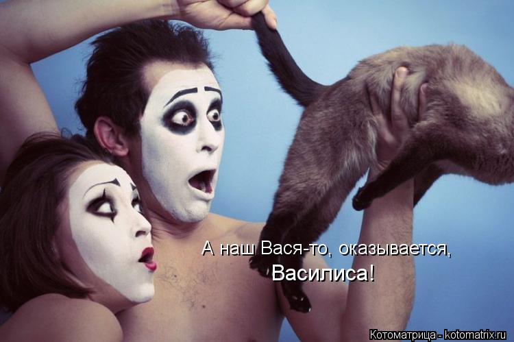Котоматрица: А наш Вася-то, оказывается, Василиса!