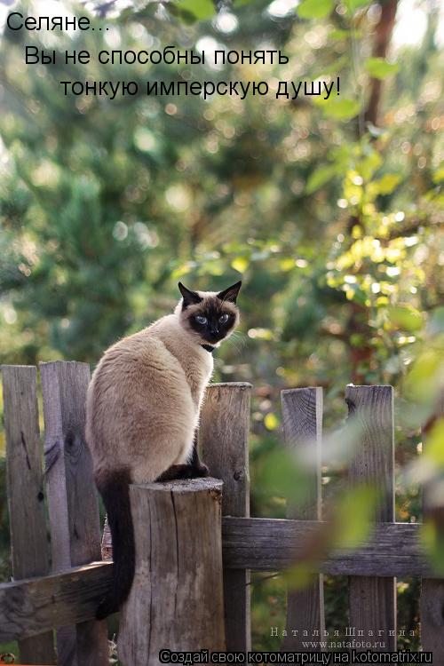 Котоматрица: Селяне... Вы не способны понять тонкую имперскую душу!