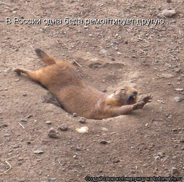 В России одна беда ремонтирует другую...... Котоматрица: В России одна беда ремонтирует другую...