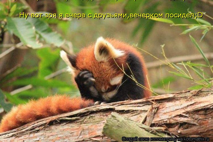 Котоматрица: Ну вот зря я вчера с друзьями,вечерком посидел;D Ну вот зря я вчера с друзьями,вечерком посидел;D