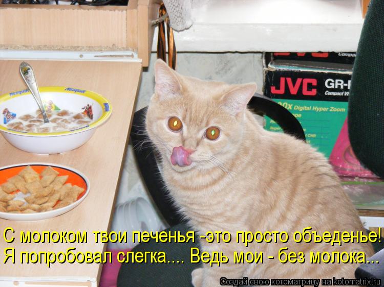 Котоматрица: С молоком твои печенья -это просто объеденье! Я попробовал слегка.... Ведь мои - без молока...