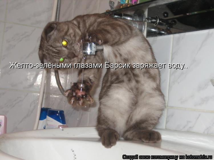 Котоматрица: Желто-зелёными глазами Барсик заряжает воду..