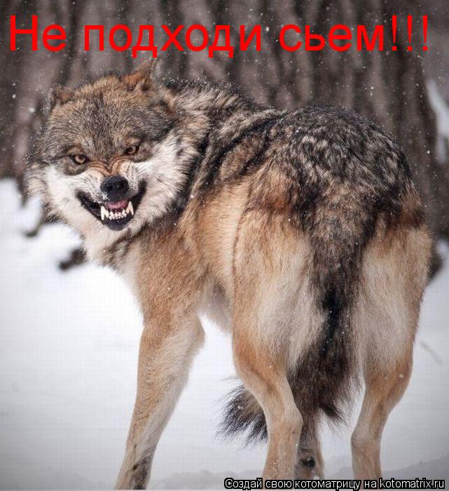 Котоматрица: Не подходи сьем!!!